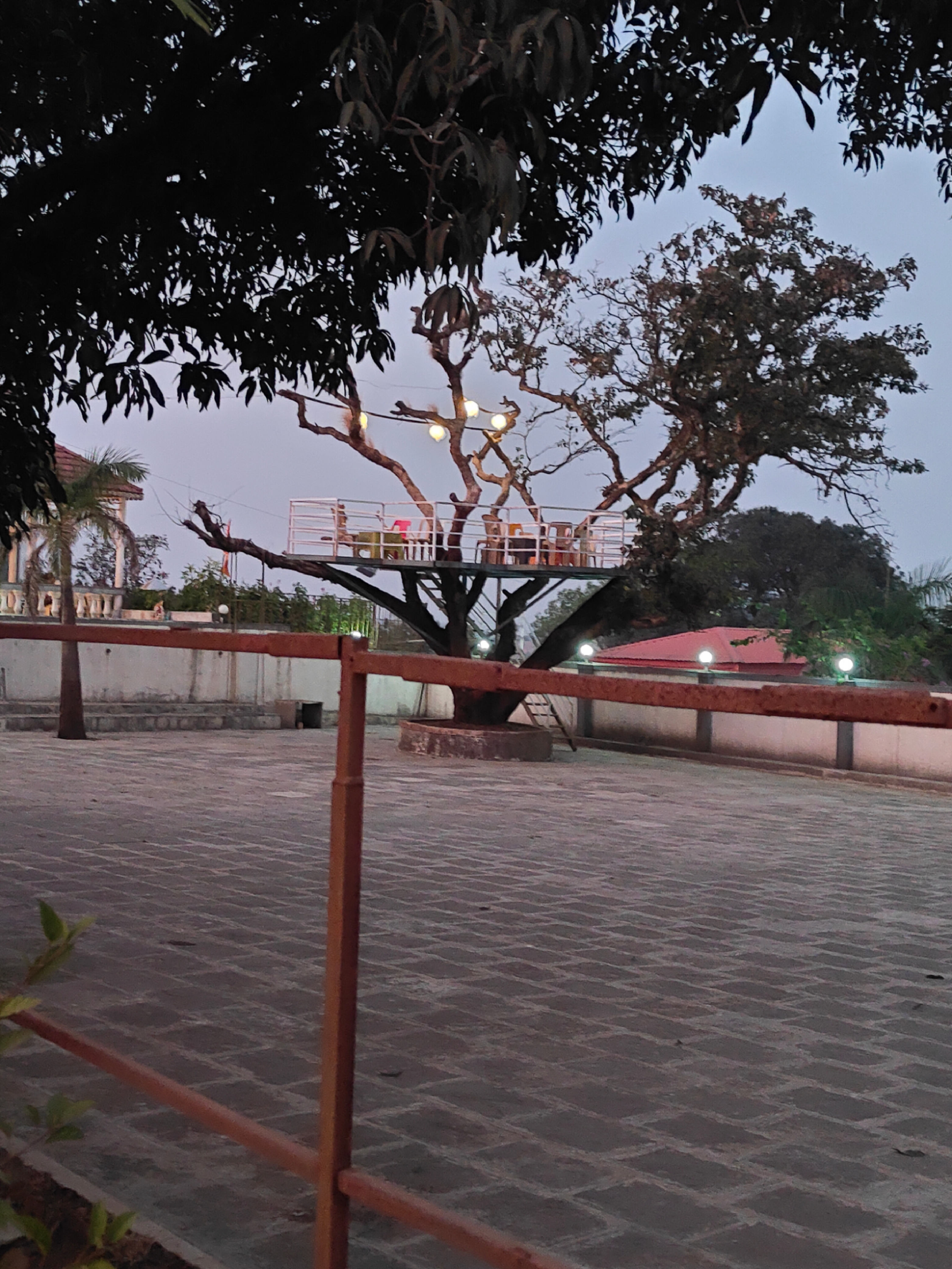 Natraj Resort Bhimashankar Nature View